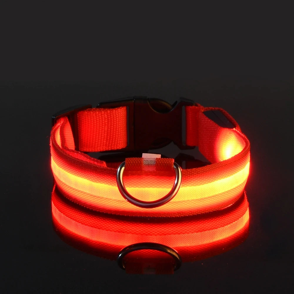 LED Hundehalsband Leuchtend – Nylon Sicherheitshalsband mit Blinklicht für Hunde
