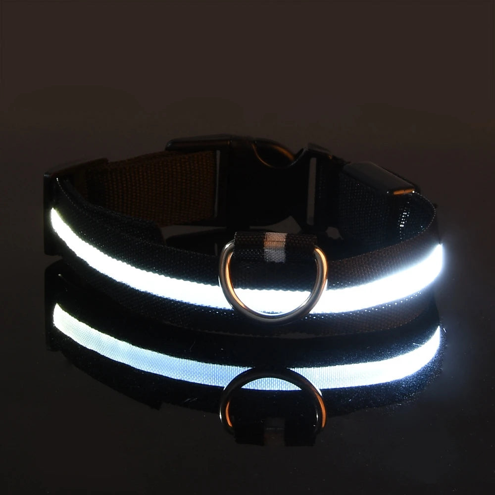 LED Hundehalsband Leuchtend – Nylon Sicherheitshalsband mit Blinklicht für Hunde