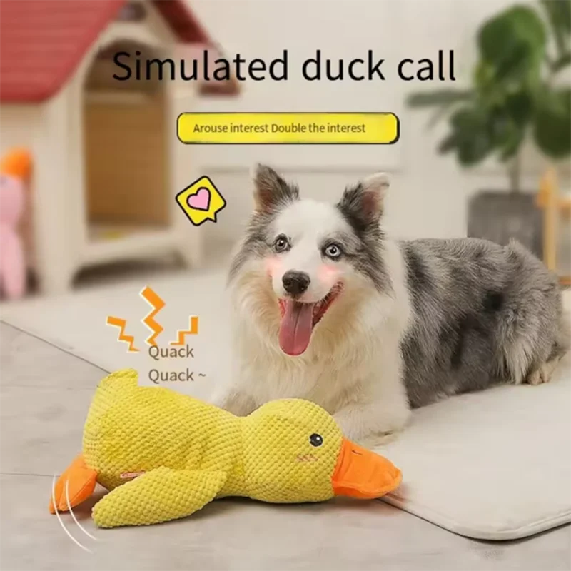Interaktives Entenspielzeug für Hunde – Plüsch, Quietschend