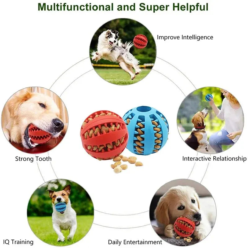 Hundespielzeugball – Ungiftig, Bissfest, mit Leckerli-Funktion