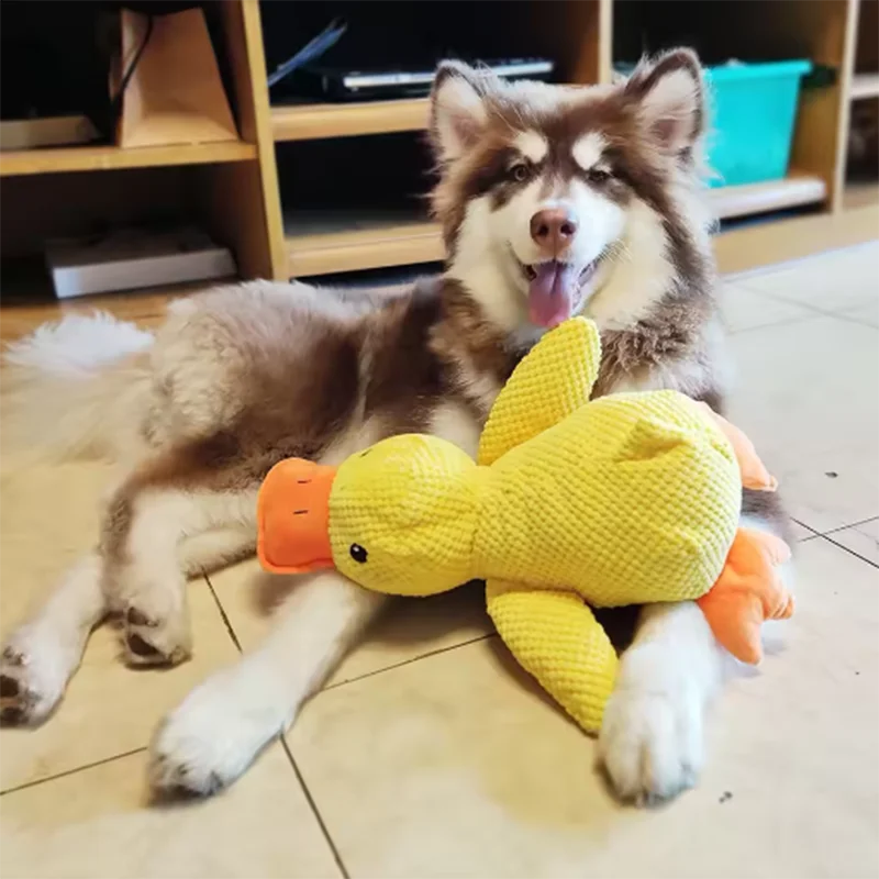 Interaktives Entenspielzeug für Hunde – Plüsch, Quietschend