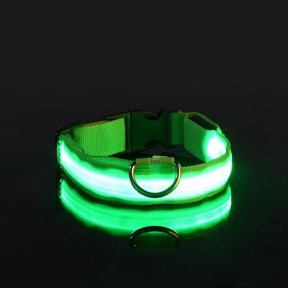LED Hundehalsband Leuchtend – Nylon Sicherheitshalsband mit Blinklicht für Hunde