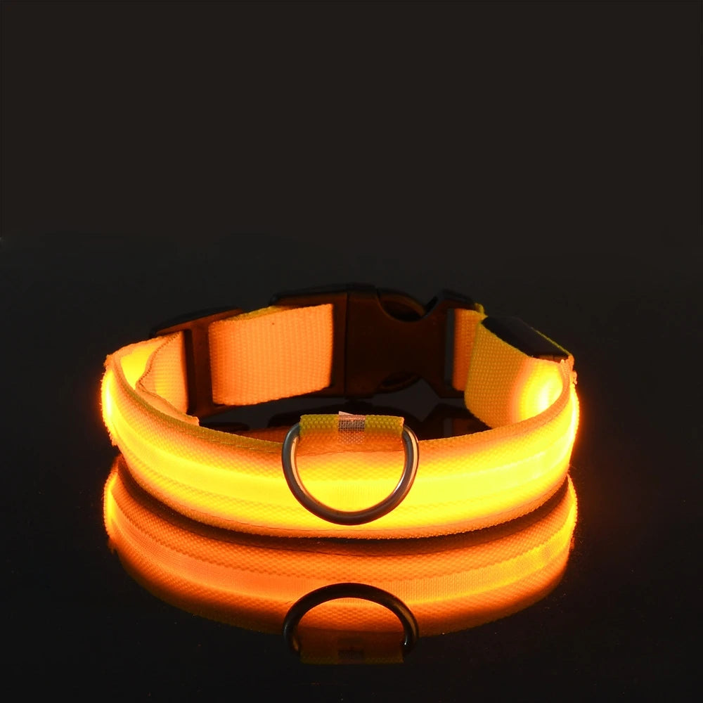LED Hundehalsband Leuchtend – Nylon Sicherheitshalsband mit Blinklicht für Hunde