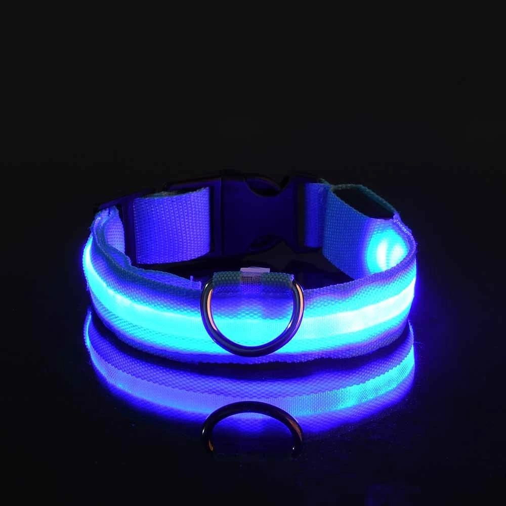 LED Hundehalsband Leuchtend – Nylon Sicherheitshalsband mit Blinklicht für Hunde