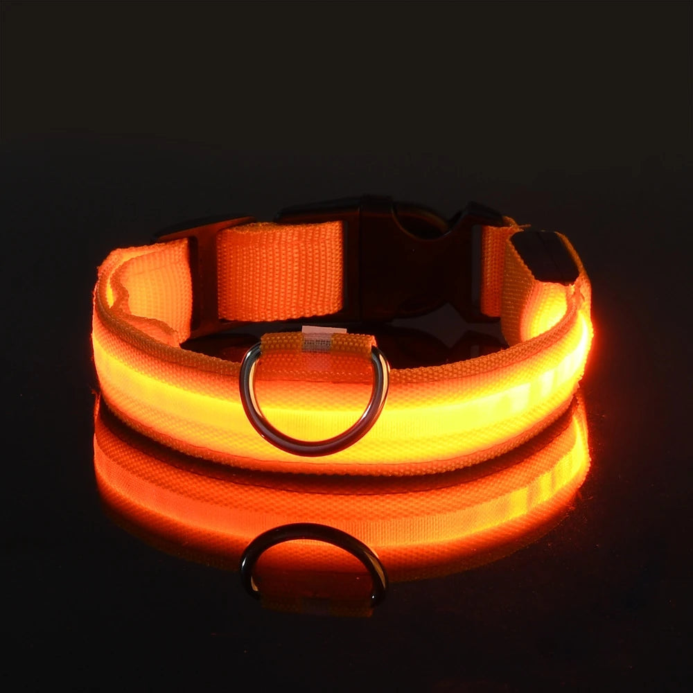 LED Hundehalsband Leuchtend – Nylon Sicherheitshalsband mit Blinklicht für Hunde