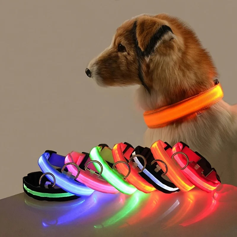 LED Hundehalsband Leuchtend – Nylon Sicherheitshalsband mit Blinklicht für Hunde