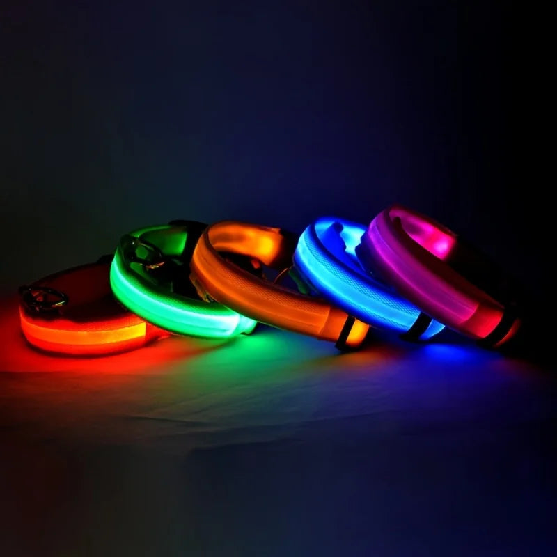 LED Hundehalsband Leuchtend – Nylon Sicherheitshalsband mit Blinklicht für Hunde