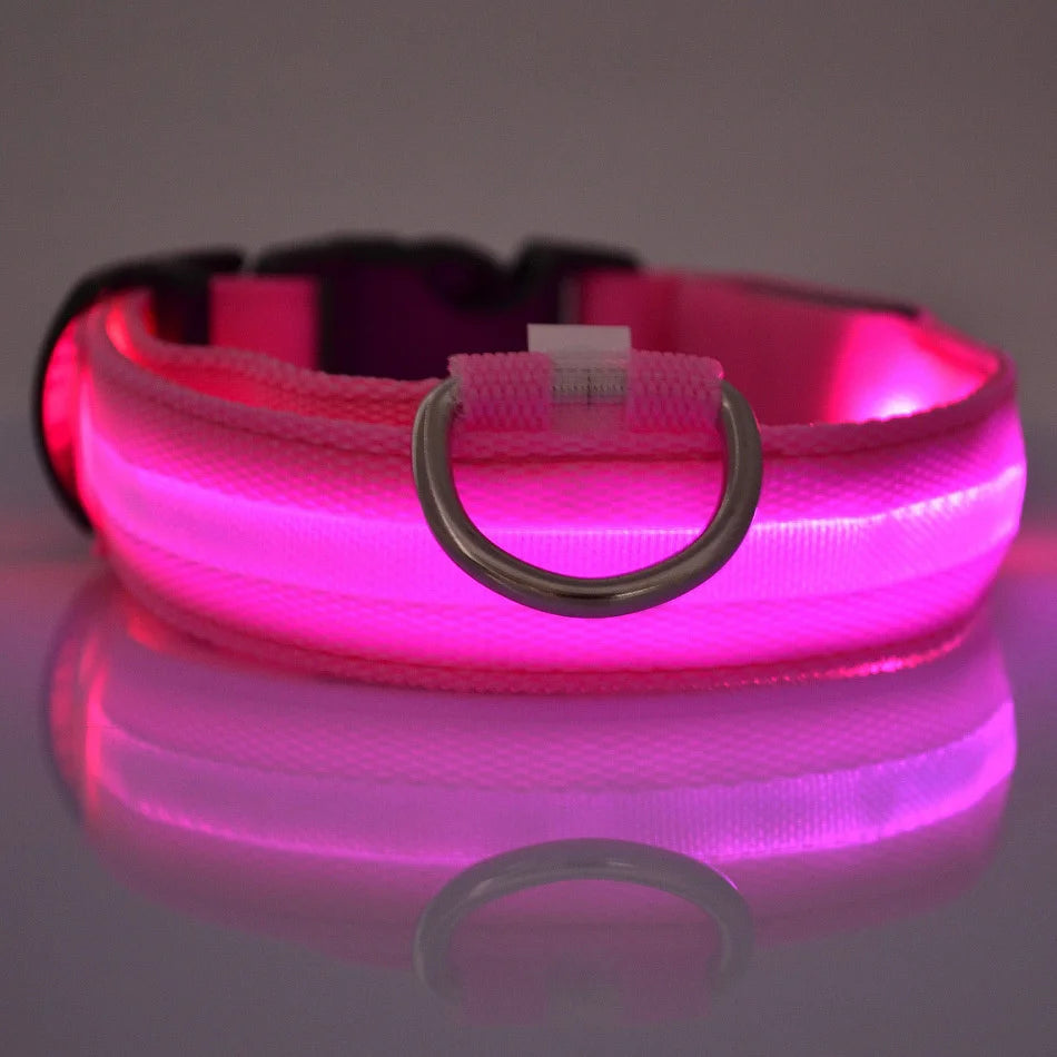 LED Hundehalsband Leuchtend – Nylon Sicherheitshalsband mit Blinklicht für Hunde