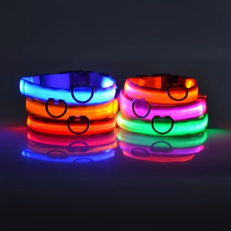 LED Hundehalsband Leuchtend – Nylon Sicherheitshalsband mit Blinklicht für Hunde