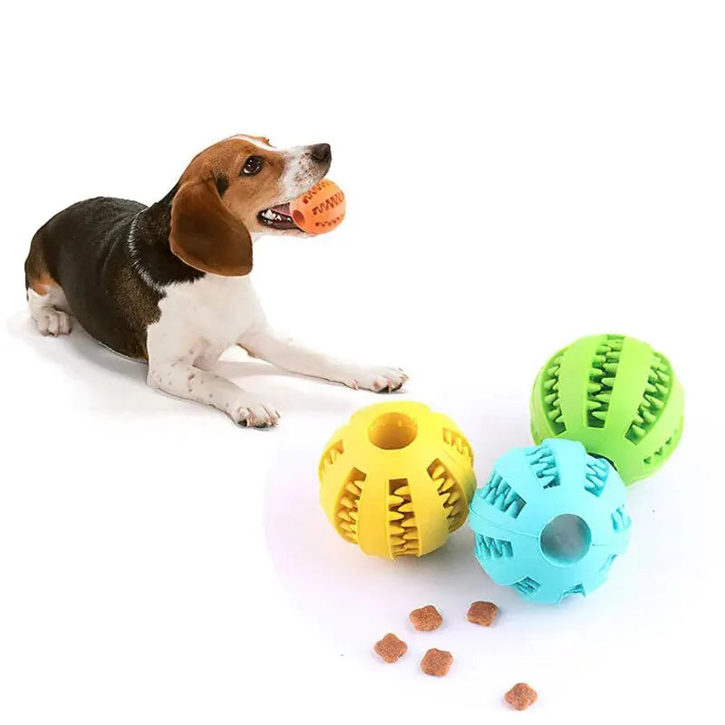 Hundespielzeugball – Ungiftig, Bissfest, mit Leckerli-Funktion