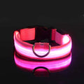 LED Hundehalsband Leuchtend – Nylon Sicherheitshalsband mit Blinklicht für Hunde