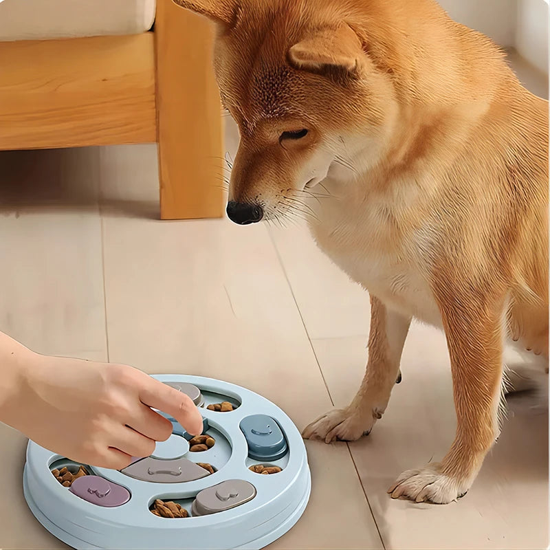 Interaktiver Futterspender für Hunde: Lernspielzeug zur Förderung der Intelligenz von Welpen